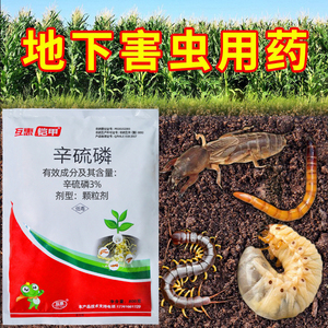 辛硫磷颗粒土壤杀虫剂地下上害虫蛴螬蚂蚁蝼蛄一扫光专用农药大全