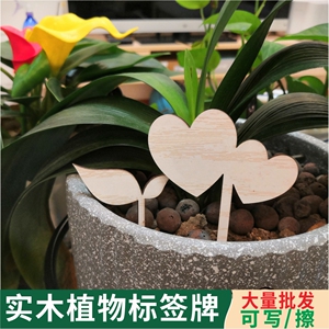 实木绿植标签盆栽插牌室外地插标识板多肉标记卡树木养护定制园艺