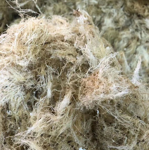 90一毛收购移动淘宝泉州石花膏石花草野生海石花四果汤石花菜海凉粉