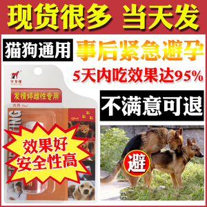 狗狗避孕药母狗泰迪金毛土狗猫咪事后紧急避孕抑情片长效母猫公母