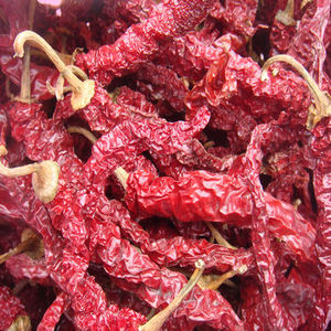 851人付款天猫甘谷辣椒全录王辣椒面甘肃天水特产兰州拉面油泼辣子