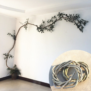 00为生活奋斗欧耶淘宝仿真枯树藤枯藤门头装饰藤吊顶树枝山藤蔓藤条