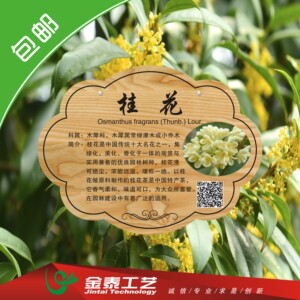 订制树牌树木标牌亚克力树牌植物花卉牌树木介绍牌插地提示花草牌