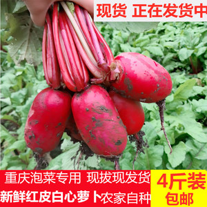 重庆红萝卜农家红皮白心水萝卜新鲜蔬菜4斤 泡菜原料胭脂萝卜现货