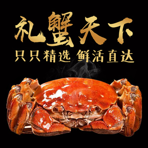 【蟹游记】北京闪送现货大闸蟹鲜活螃蟹10只装3.0-4.0两礼盒装