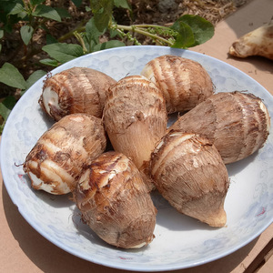 牛奶小芋头江西特产芋子艿芋当季新鲜蔬菜农家自种软滑糯5斤包邮
