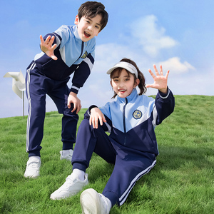 小学生蓝色校服两件套春秋款儿童班服春装一二三年级运动会教师服
