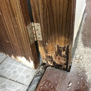 卫生间门框腐烂 填充速干腻子 木工防水无气味木器高强度防潮