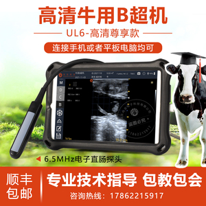 牛用B超母牛测孕仪子宫检测马驴验胎高清成像便携手机平板B超UL6