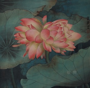 并蒂莲客厅装饰画手绘国画凉爽爽画廊字画真迹风水办公室挂画原稿