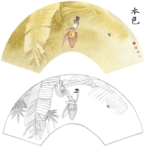 xs23工笔芭蕉花鸟扇形小品画白描底稿临摹练习可直接上色熟宣纸稿