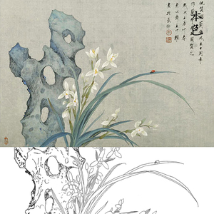 cl89工笔画兰花白描底稿国画花卉线描练习可上色实物临摹过透打印