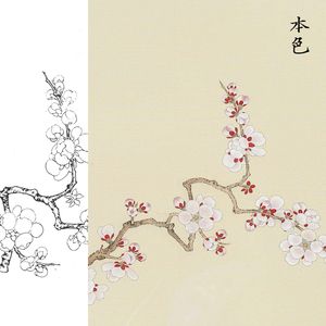 工笔画线描稿杏花勾线实物画稿花鸟国画临摹白描底稿可直接上色稿