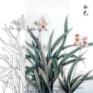 高清国画花卉兰花工笔画白描底稿线描稿练习实物打印稿临摹宣纸