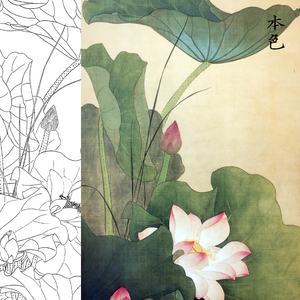 荷花白描底稿工笔画初学临摹练习荷叶花鸟宣纸白描稿实物打印画稿