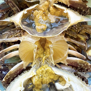 腌制梭子蟹（小公蟹）500克/袋生呛海蟹生食海鲜生淹蟹冷冻水产