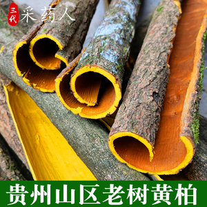 川黄柏 黄柏树皮黄柏丝片关黄柏皮关檗木黄檗皮500克包邮价格0628