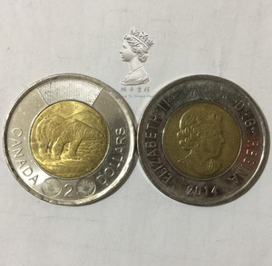 老年有枫叶版 加拿大2元流通版双金属硬币 伊丽莎白 北极熊钱币