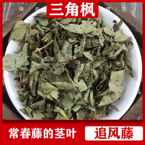 三角枫中药材三合枫三角风三角尖追风藤上树蜈蚣钻天风常春藤