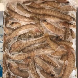 海泥鳅皮条鱼纯条速冻冷冻鱼食品加工原料鱼饲料鱼饵料鱼海钓鱼饵