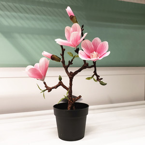 小蜗牛宜家ikea菲卡人造盆栽植物木兰花仿真绿植假花人造花装饰品