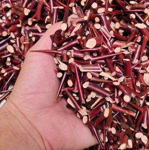 野生皂角刺天丁皂荚刺皂刺皂角针切碎皂角刺纯刺无树枝包邮500g