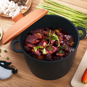 专柜同步德国原装进口berndes宝迪锅陶盖不粘汤煲汤锅妙鲜锅