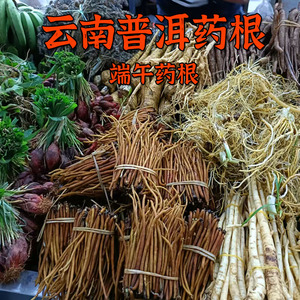 云南普洱药根新鲜端午药根草草药传统节日特色地方菜煮鸡腊肉火腿