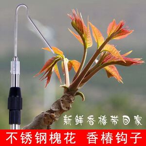 勾槐花钩子杆子抄网伸缩摘香椿摘槐花水草杆香椿采摘多功能摘榆钱