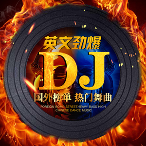 正版欧美英文dj超嗨汽车载cd碟片重低音炸街劲爆酒吧舞曲黑胶光盘