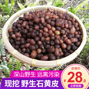 广西新鲜野生石黄皮500克包邮凤凰蛋蛇蛋马骝卵肾蕨化狗儿蜈蚣草