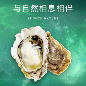 爱尔兰绿宝石生蚝n2/1/0号12只空运进口刺身牡蛎非法国吉娜朵