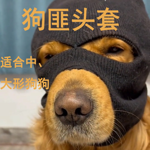 抖音恶搞狗匪头套黑色面罩宠物狗狗帽子玩具恶搞变装道具帽