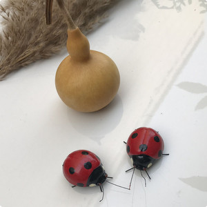 仿真昆虫模型七星瓢虫黏土手工制作儿童教具手工艺品橱窗装饰品