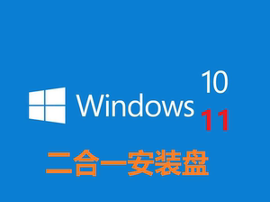Windows11 10二合一MSDN原版启动系统安装U盘22 23H2纯净无删减