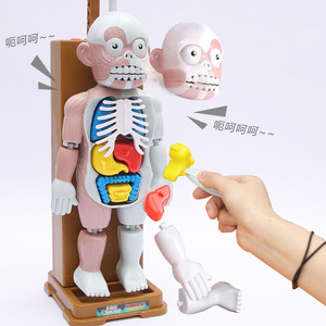 抖音网红整蛊人体内脏器官弹出益智玩具搞笑恶搞儿童玩具解刨模型