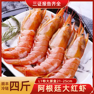 阿根廷超大红虾原装进口特大红虾整只鲜活水产速冻阿根廷大红虾