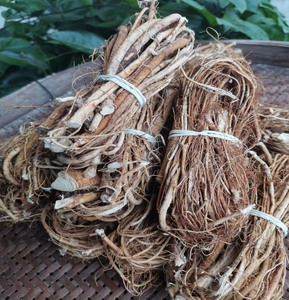 野生五指毛桃七指中药材汤料包正宗老根福建新鲜干货五爪龙根500g