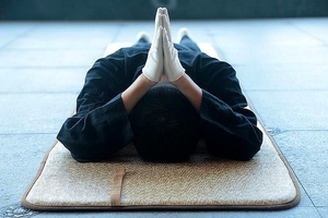 禅一大拜垫拜忏大礼拜拜垫超顺滑加厚磕大头长头垫108拜忏垫家用