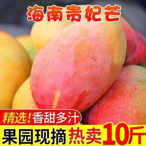 包邮海南贵妃芒果红金龙甜中大果当季时令新鲜水果3/5/9斤