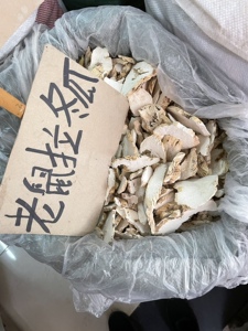 野生老鼠拉冬瓜根 中药材土白蔹 土花粉 马交儿根 500克包邮