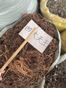 四大天王 野生中草药及己 四块瓦根四叶莲 四叶箭 金薄荷干品500g