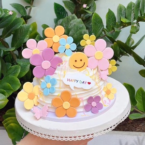 梅花玫瑰花五瓣花塑料切模套装 eva立体花朵翻糖蛋糕烘焙装饰模具