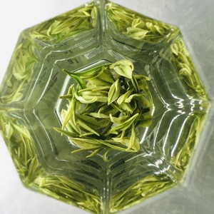 2022虞山白茶新茶常熟白茶明前茶特级50克罐装春季绿茶送礼