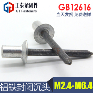 鋁鐵封閉式沉頭抽芯鉚釘m2.4m3m4.8m5m6.4 平頭拉釘螺絲GB12616