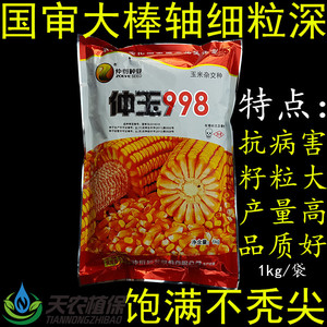 仲玉998国审杂交玉米种子抗旱抗倒大棒高产饲料玉米种籽大田用种