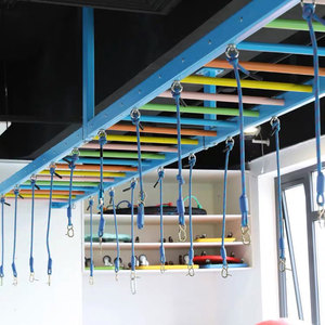 悬挂秋千猴子架铁架儿童感统体能健身攀爬梯训练器材悬吊架子云梯