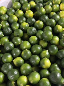 小青柠 小青桔 1斤 新鲜水果鲜柠 发哈尔滨同城江北松北