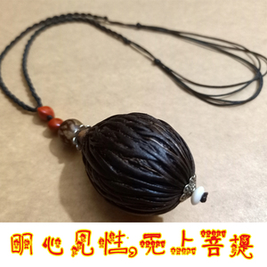 原创设计稀有千丝菩提原籽 狐尾椰子种情侣复古项链坠diy汽车挂件