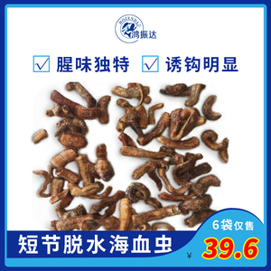 干短节红虫血虫6袋饵料鲈鱼立鱼黄鱼黄姑黑头包邮特惠价海钓鱼饵